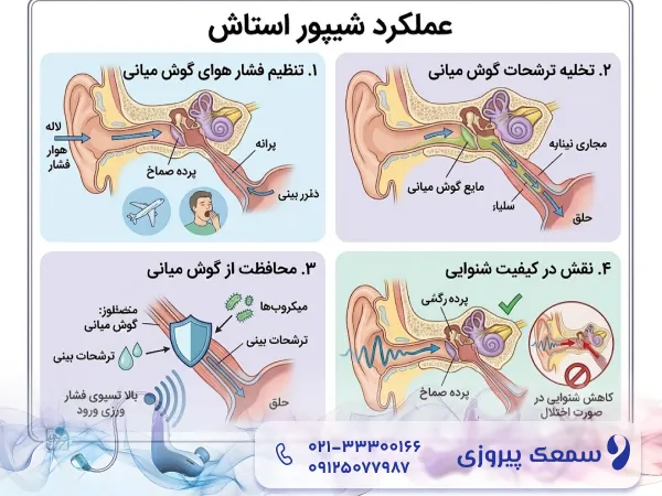 عملکرد شیپور استاش